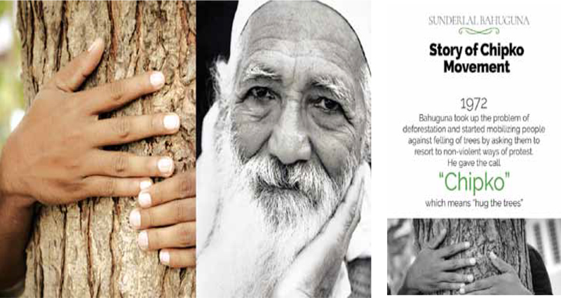 A Tribute to India’s Best – Known Environmental Activist On World Environment Day