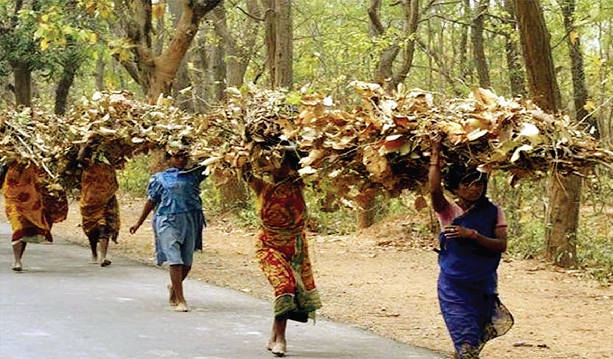 Participation of women in Natural Resource Management